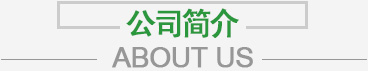 高密市新伟助剂有限公司简介